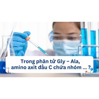 Trong phân tử Gly – Ala, amino axit đầu C chứa nhóm ... ?