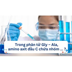 Trong phân tử Gly – Ala, amino axit đầu C chứa nhóm ... ?