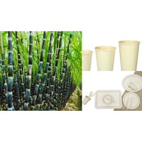 Đăng ký nhãn hiệu cho cây mía tím và sản phẩm từ cây mía mới nhất