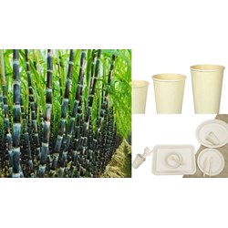 Đăng ký nhãn hiệu cho cây mía tím và sản phẩm từ cây mía mới nhất