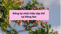 Đăng ký nhãn hiệu tập thể tại Đồng Nai thực hiện như thế nào?