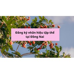 Đăng ký nhãn hiệu tập thể tại Đồng Nai thực hiện như thế nào?