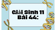Giải Sinh 11 Bài 44: Sinh sản vô tính ở động vật chi tiết nhất