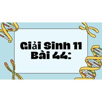 Giải Sinh 11 Bài 44: Sinh sản vô tính ở động vật chi tiết nhất