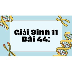 Giải Sinh 11 Bài 44: Sinh sản vô tính ở động vật chi tiết nhất