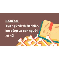 Soạn bài Tục ngữ về thiên nhiên, lao động và con người, xã hội