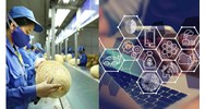 Doanh nghiệp siêu nhỏ phải có quy chế quản lý tài liệu kế toán?