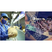 Doanh nghiệp siêu nhỏ phải có quy chế quản lý tài liệu kế toán?