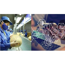 Doanh nghiệp siêu nhỏ phải có quy chế quản lý tài liệu kế toán?