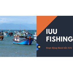 Báo cáo các vấn đề liên quan đến công tác chống khai thác IUU?
