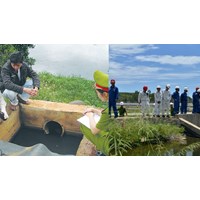 Bộ TN&MT có toàn quyền thực hiện thanh tra, kiểm tra bảo vệ môi trường không