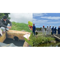 Bộ TN&MT có toàn quyền thực hiện thanh tra, kiểm tra bảo vệ môi trường không