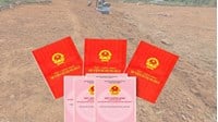 Trường hợp nào người nước ngoài không được cấp sổ hồng (Giấy chứng nhận với nhà ở) theo Luật Nhà ở 2023