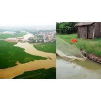 Giải pháp để sử dụng hợp lí tự nhiên ở Đồng bằng sông Cửu Long