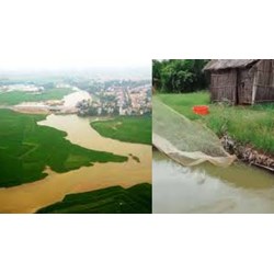 Giải pháp để sử dụng hợp lí tự nhiên ở Đồng bằng sông Cửu Long
