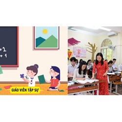 Giáo viên tập sự có được nhận lương vào thời gian nghỉ hè không?