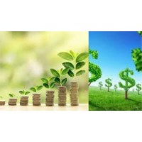 Quy định về nguồn vốn hoạt động của quỹ bảo vệ môi trường cấp tỉnh