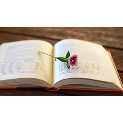 Soạn bài Đề văn thuyết minh và cách làm bài văn thuyết minh ngắn gọn