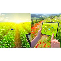 Trụ sở chính Trung tâm Chuyển đổi số và Thống kê nông nghiệp ở đâu?