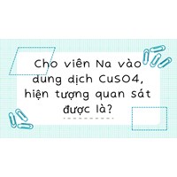 Cho viên Na vào dung dịch CuSO4, hiện tượng quan sát được là?