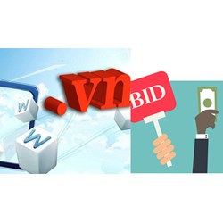 Thực hiện đấu giá quyền sử dụng tên miền quốc gia Việt Nam thế nào?