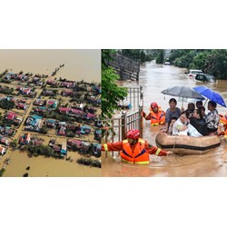 Làm việc tại công ty môi trường có phải đóng nộp quỹ phòng chống thiên tai?