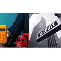 Người nộp thuế được tổ chức tín dụng bảo lãnh số thuế nhập khẩu phải nộp để thông quan
