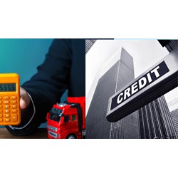 Người nộp thuế được tổ chức tín dụng bảo lãnh số thuế nhập khẩu phải nộp để thông quan
