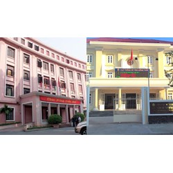 Nhiệm vụ của Cục Thống kê tỉnh, thành phố trực thuộc Trung ương?