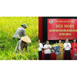 100% cán bộ hội nông dân chuyên trách các cấp bồi dưỡng nghiệp vụ?