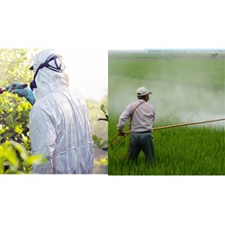 Đơn đề nghị đăng ký hộ kinh doanh buôn bán thuốc trừ sâu mới nhất