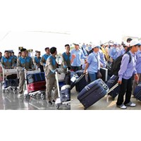 Thanh tra doanh nghiệp đưa người lao động làm việc ở nước ngoài?