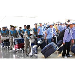 Thanh tra doanh nghiệp đưa người lao động làm việc ở nước ngoài?