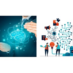 Cục sở hữu trí tuệ Hà Nội có những chức năng, nhiệm vụ nào?