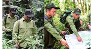 Mức lương, phụ cấp của lực lương chuyên trách bảo vệ rừng như thế nào?