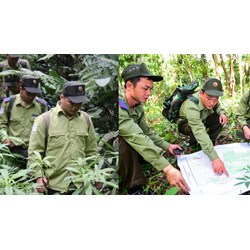 Mức lương, phụ cấp của lực lương chuyên trách bảo vệ rừng như thế nào?