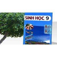Giải Sinh 9 Bài 45-46: Thực hành chi tiết nhất