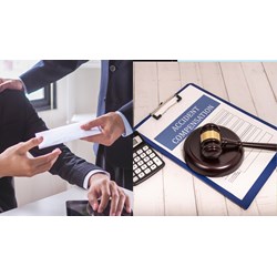 Cục Bồi thường nhà nước ban hành văn bản cá biệt về công tác bồi thường nhà nước?