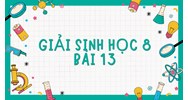 Giải Sinh học 8 Bài 13: Máu và môi trường trong cơ thể đầy đủ nhất