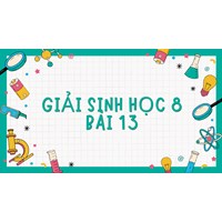 Giải Sinh học 8 Bài 13: Máu và môi trường trong cơ thể đầy đủ nhất