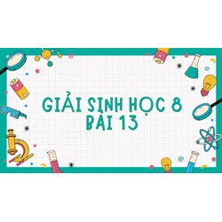 Giải Sinh học 8 Bài 13: Máu và môi trường trong cơ thể đầy đủ nhất