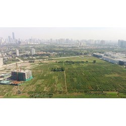 Lập quy hoạch sử dụng đất quốc gia không quá 36 tháng
