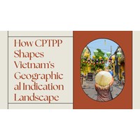 How CPTPP Shapes Vietnam's Geographical Indication Landscape