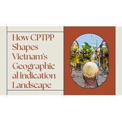 How CPTPP Shapes Vietnam's Geographical Indication Landscape