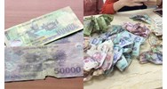 Giám sát tiêu hủy tiền hỏng của Ngân hàng Nhà nước từ 11/02/2024?