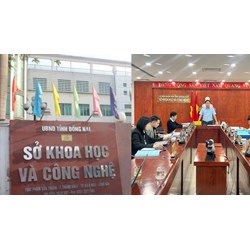 Sở Khoa học và Công nghệ cấp chứng nhận giám định sở hữu công nghiệp?