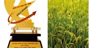 Thời gian tổ chức trao giải Bông lúa vàng Việt Nam cho các tác giả