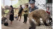 Điều kiện để tổ chức, cá nhân nuôi động vật rừng thông thường là động vật đẻ con