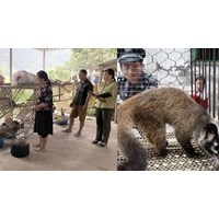 Điều kiện để tổ chức, cá nhân nuôi động vật rừng thông thường là động vật đẻ con