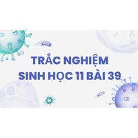 Trắc nghiệm Sinh học 11 Bài 39 có đáp án mới nhất 2024
